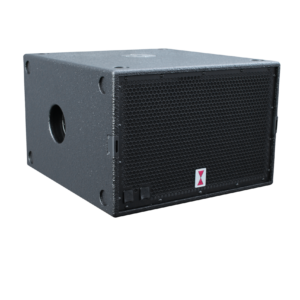 Voice Acoustic CXN-16 Monitorlautsprecher